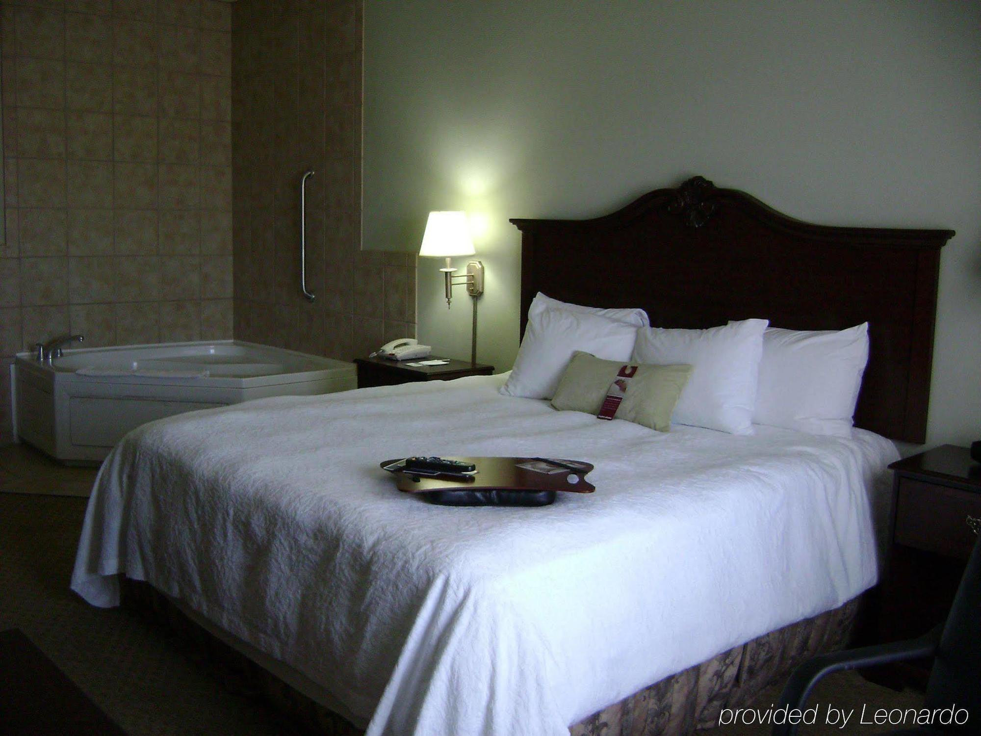 Hampton Inn Fort Stockton Kamer foto