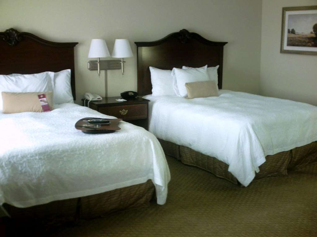 Hampton Inn Fort Stockton Kamer foto